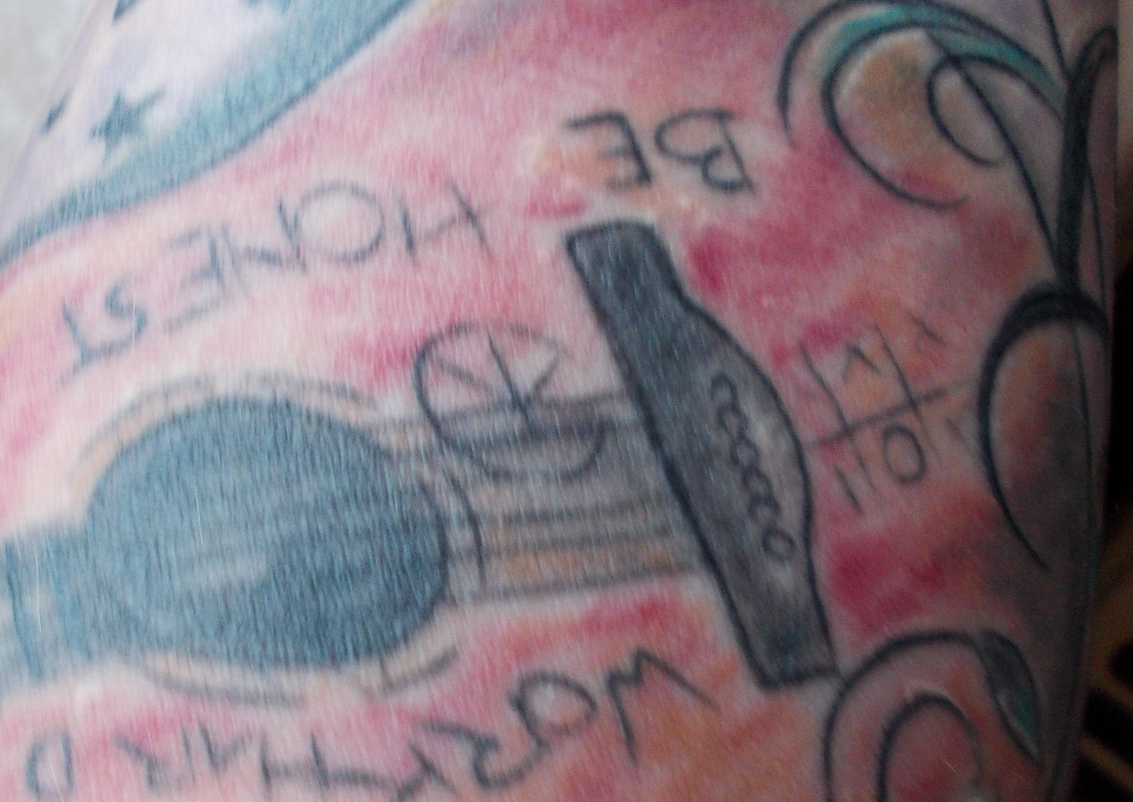 katze71: Tattoo - einen Monat alt